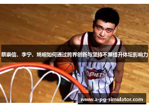 蔡崇信、李宁、姚明如何通过跨界创新与坚持不懈提升体坛影响力