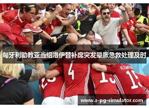 匈牙利助教亚当绍洛伊替补席突发晕厥急救处理及时 匈牙利助教亚当绍洛伊替补席突发晕厥急救处理及时